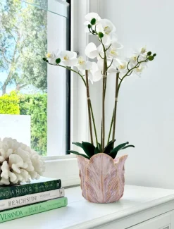 Vases & Pots|Ceramics*Zjoosh Cabbage Leaf Pot Large Pink