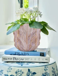 Vases & Pots|Ceramics*Zjoosh Cabbage Leaf Pot Large Pink