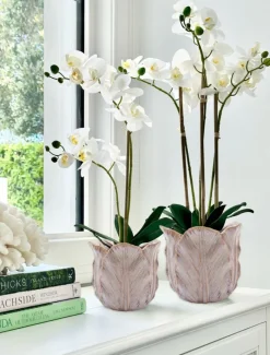 Vases & Pots|Ceramics*Zjoosh Cabbage Leaf Pot Small Pink