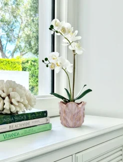 Vases & Pots|Ceramics*Zjoosh Cabbage Leaf Pot Small Pink