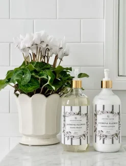 Hand Wash*Zjoosh CC Jasmine Flower Lotion 525ML
