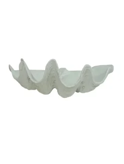 Home Ornaments*3rd Party Other Clam Shell Décor 40cm White