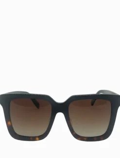 Sunglasses*Zjoosh Coco Sunglasses Tortoise Black