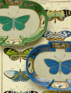 Ceramics*3rd Party Other Entomologie Dish Petit Sapphire