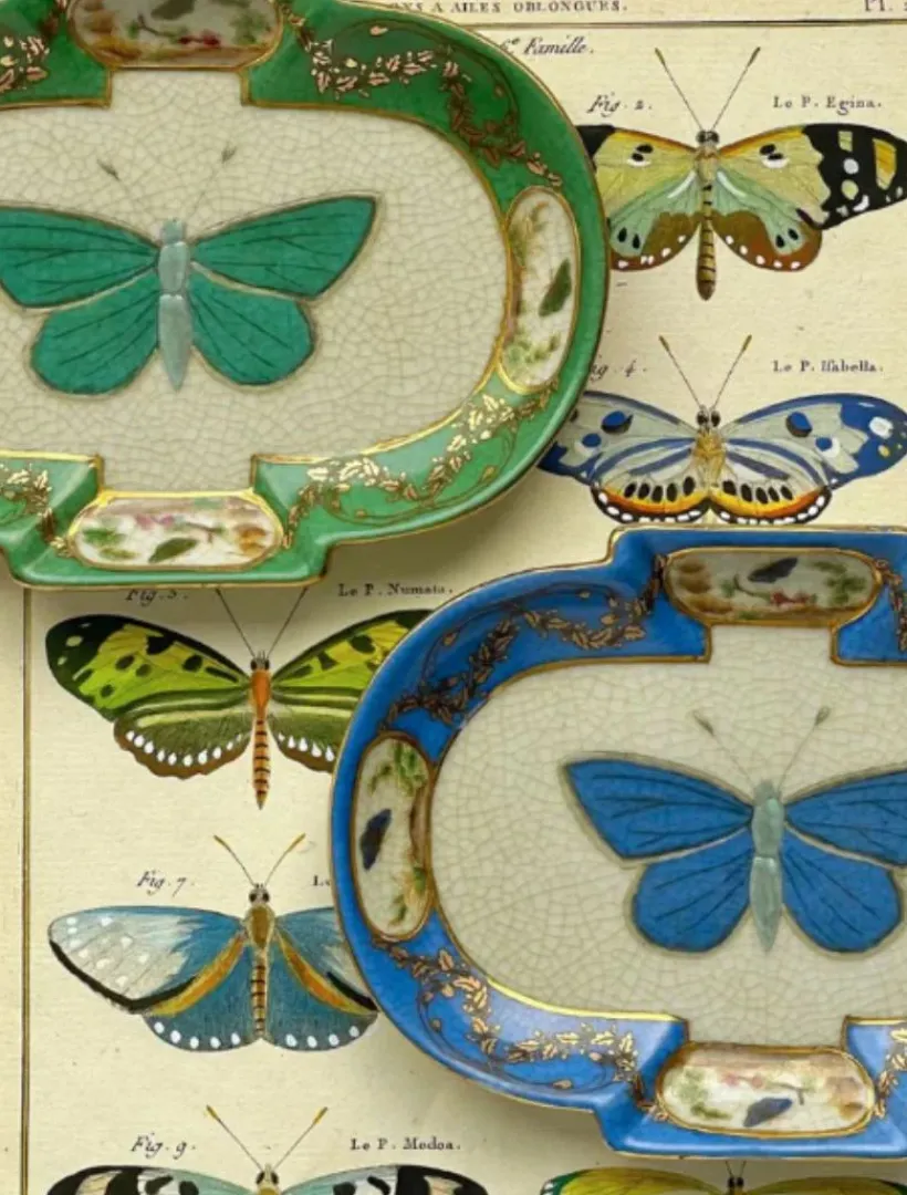 Ceramics*3rd Party Other Entomologie Dish Petit Sapphire