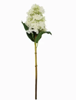 Flowers*Zjoosh Hydrangea Cone 50cm Ivory