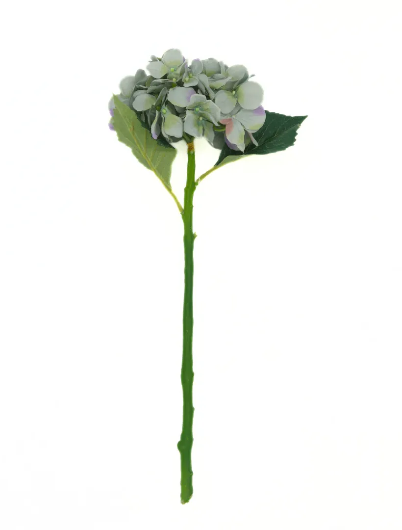Flowers*Zjoosh Hydrangea Stem 50cm Blue Green BlueGreen