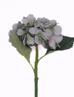 Flowers*Zjoosh Hydrangea Stem 50cm Blue Green BlueGreen