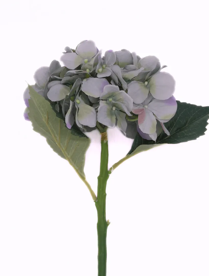 Flowers*Zjoosh Hydrangea Stem 50cm Blue Green BlueGreen