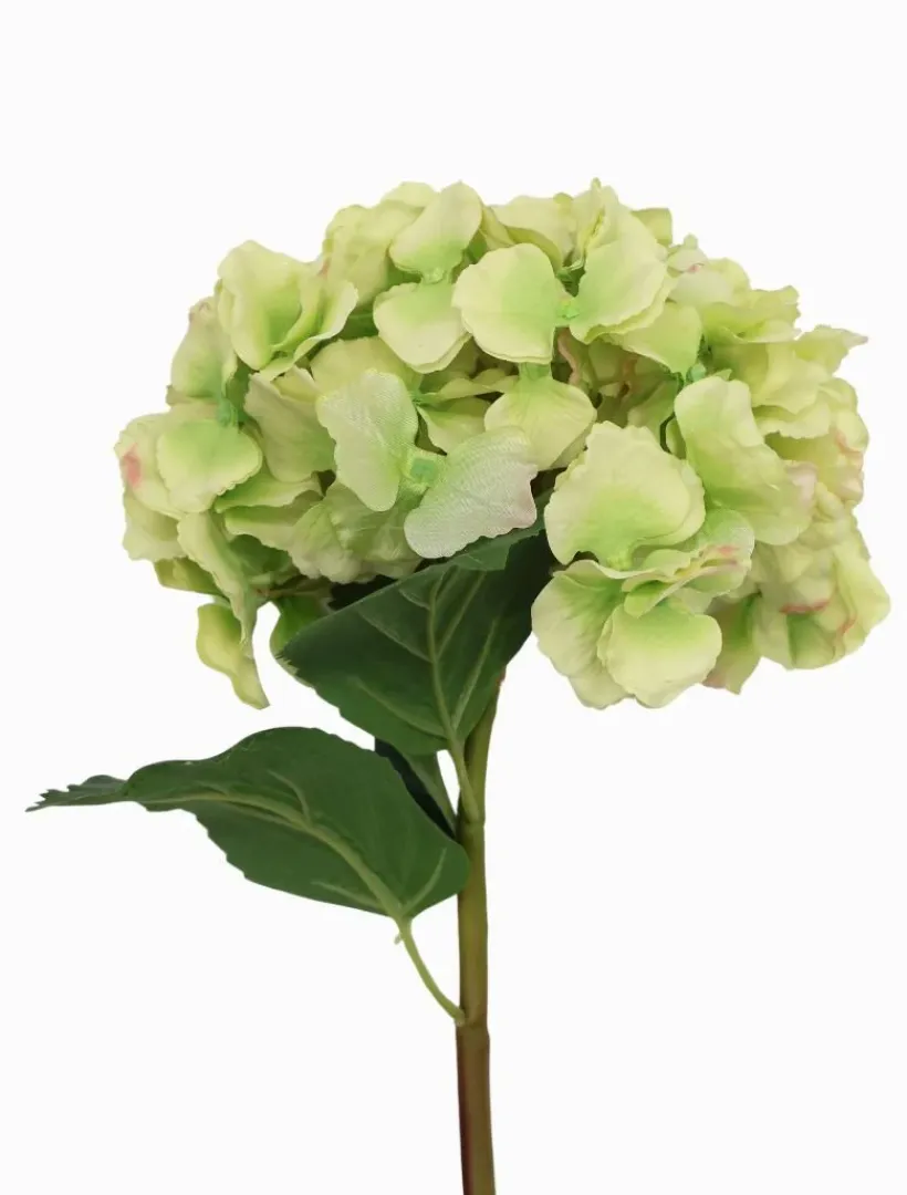 Flowers*Zjoosh Hydrangea Stem 52cm Green