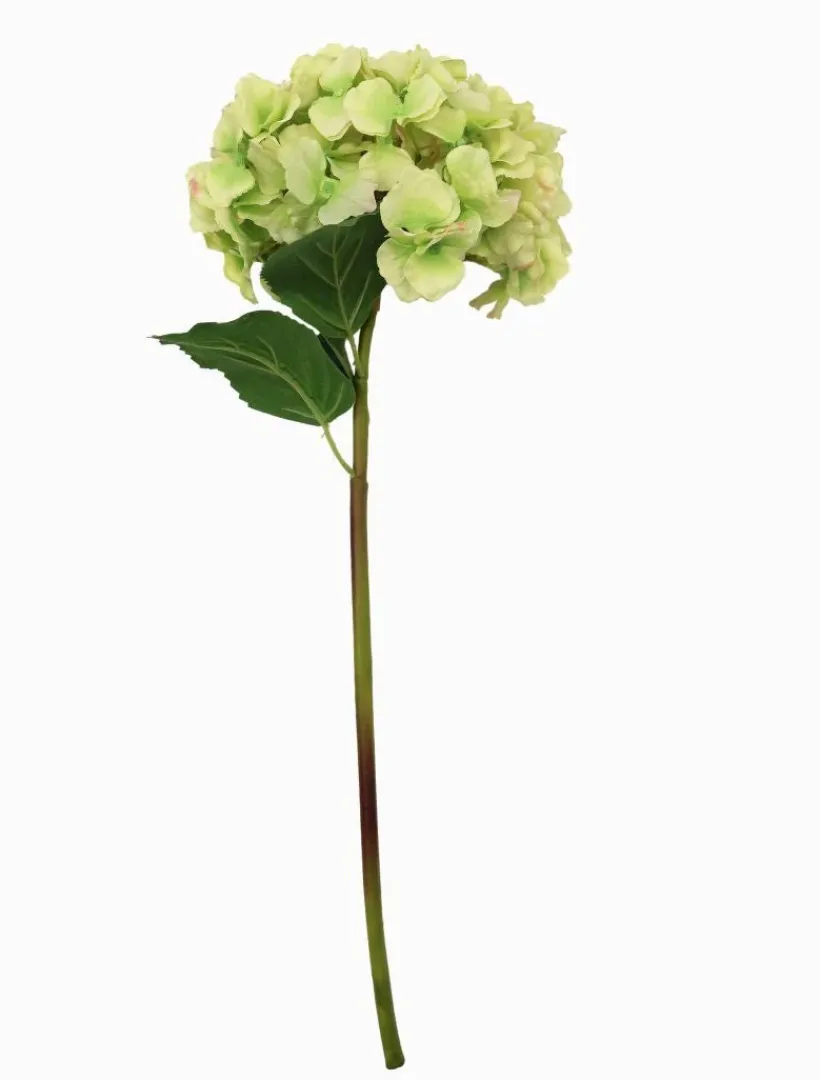 Flowers*Zjoosh Hydrangea Stem 52cm Green