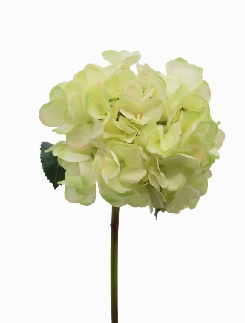 Flowers*Zjoosh Hydrangea Stem 52cm Light Green LightGreen