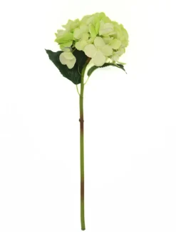 Flowers*Zjoosh Hydrangea Stem 52cm Light Green LightGreen