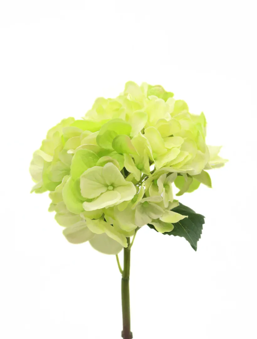 Flowers*Zjoosh Hydrangea Stem 52cm Light Green LightGreen