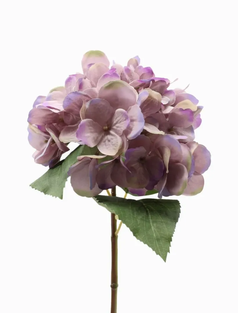 Flowers*Zjoosh Hydrangea Stem 52cm Pink