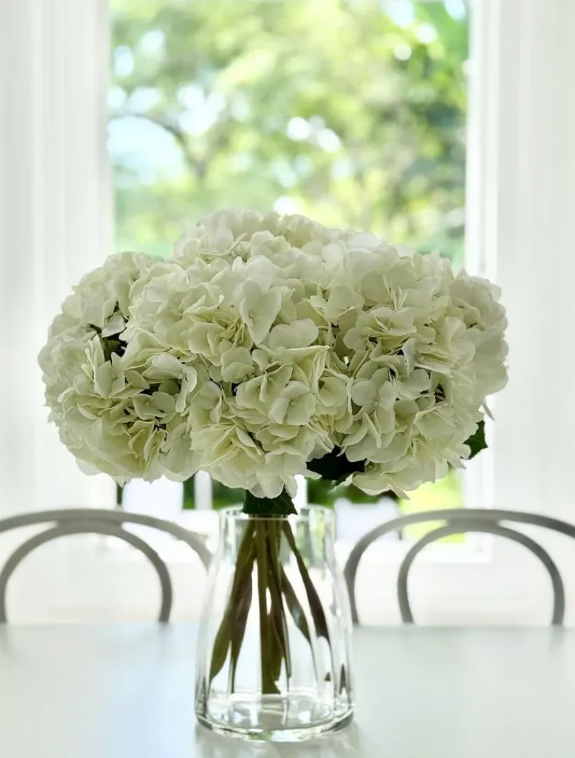 Flowers*Zjoosh Hydrangea Stem 52cm White