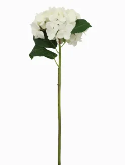 Flowers*Zjoosh Hydrangea Stem 52cm White