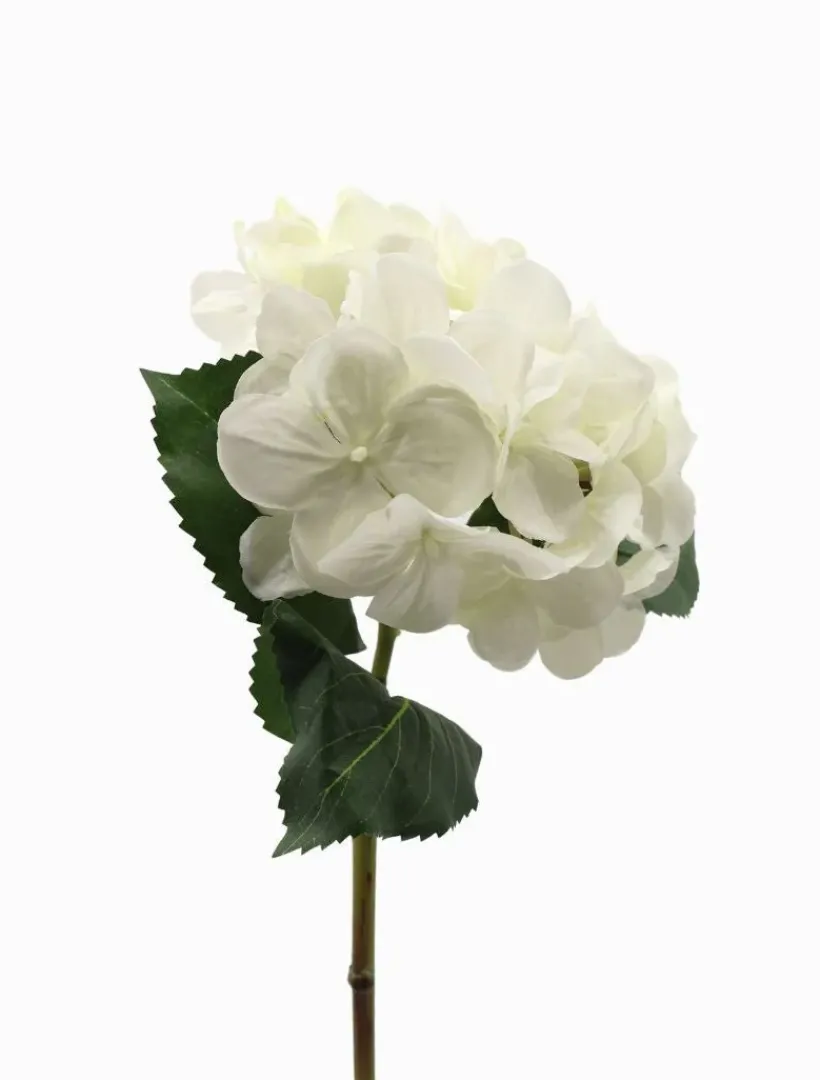 Flowers*Zjoosh Hydrangea Stem 52cm White