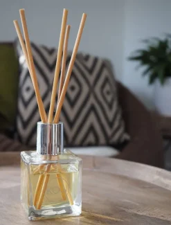 Ikou|Diffusers*Ikou Aromacology Diffuser Zen