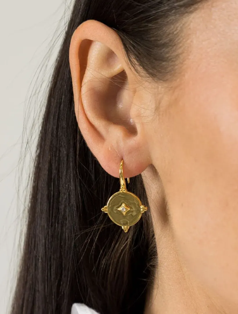 Lucienne - Zjoosh Premium|Earrings*Zjoosh Lucienne Gold and Crystal Hooks