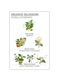 Body Lotions*3rd Party Other Orange Blossom Body Lotion 250ml