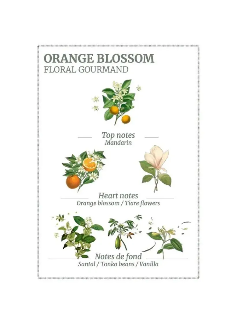 Hand Wash*3rd Party Other Orange Blossom Hand u0026 Body Wash 500ml