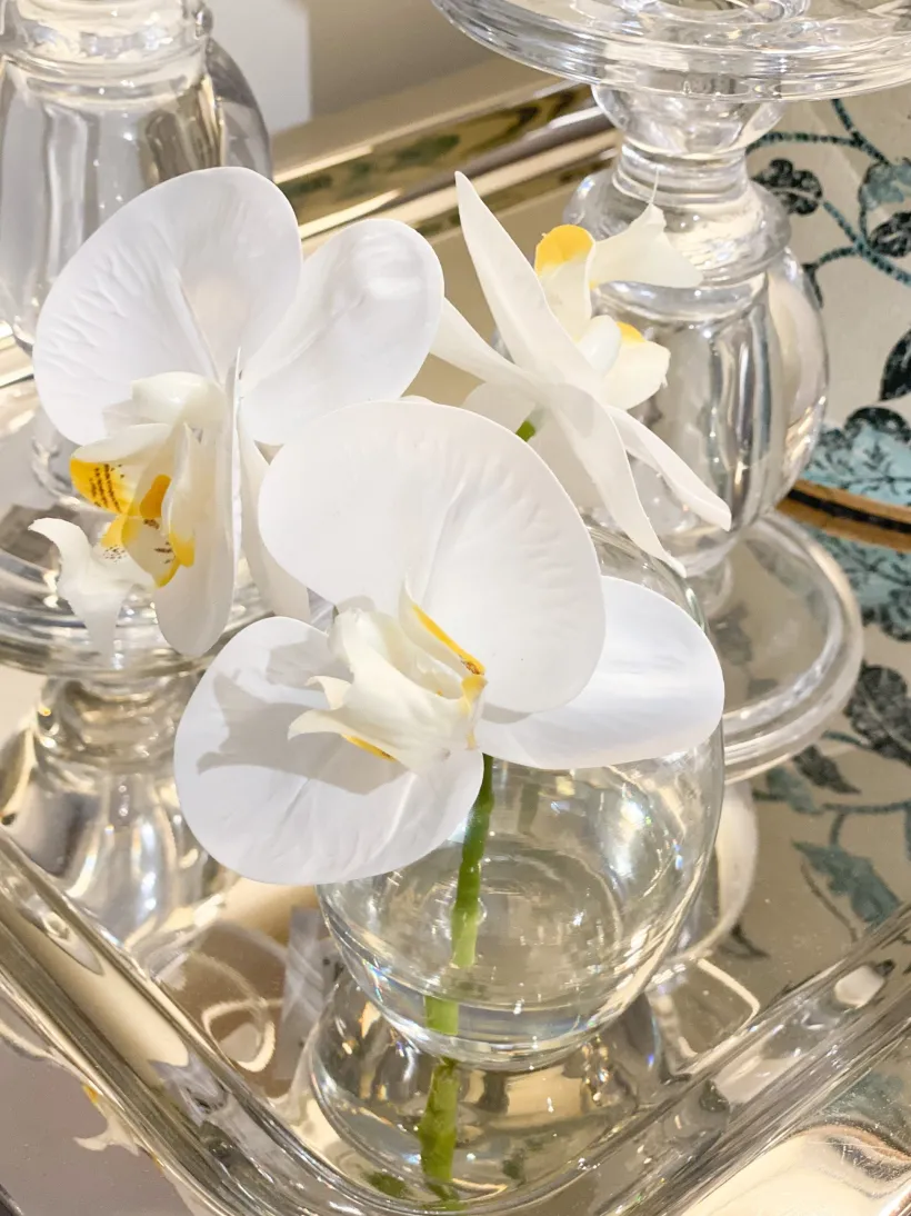 Flowers*3rd Party Other Orchid Phalaenopsis in Vase 11cmh White