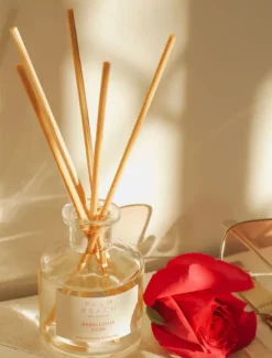 Palm Beach|Diffusers*Palm Beach Mini Diffuser Rebellious Rose