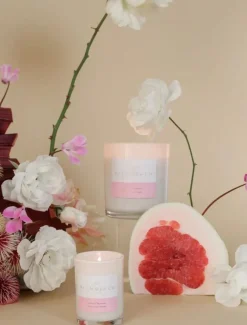 Scented Candles|Palm Beach*Palm Beach Pomelo and Dewberry Candle 420G