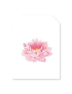 Stationery*Zjoosh Pink Peony Tag