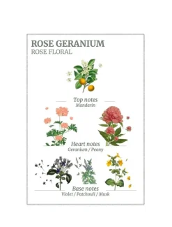 Body Lotions*3rd Party Other Rose Geranium Body Lotion 250ml - FINAL SALE