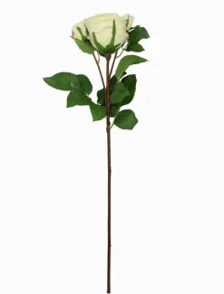 Flowers*Zjoosh Rose Stem 58cm Ivory