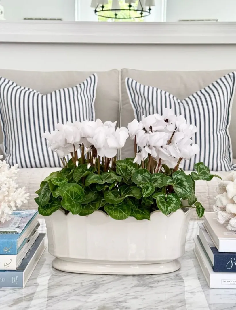 Vases & Pots|Ceramics*Zjoosh Scallop Planter White