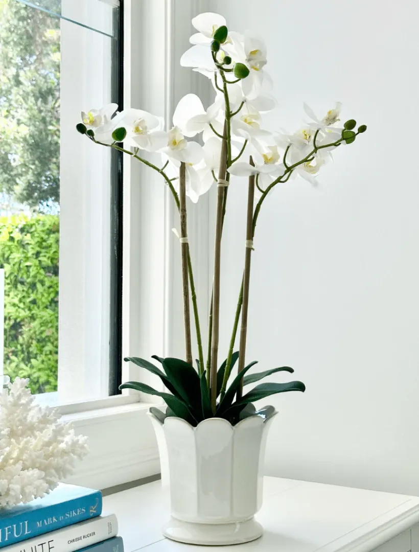 Vases & Pots|Ceramics*Zjoosh Scalloped Pot Large White