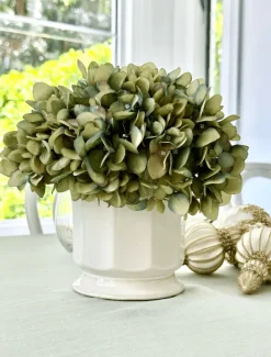 Ceramics|Vases & Pots*Zjoosh Scalloped Pot Small White