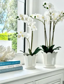 Ceramics|Vases & Pots*Zjoosh Scalloped Pot Small White