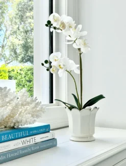 Ceramics|Vases & Pots*Zjoosh Scalloped Pot Small White