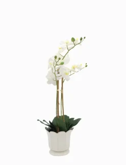 Ceramics|Vases & Pots*Zjoosh Scalloped Pot Small White
