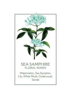 Hand And Nail Creams*3rd Party Other Sea Samphire Hand Cream 75ml