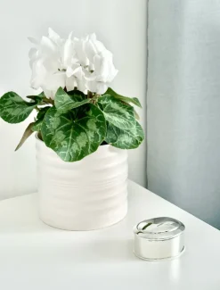 Jewellery Storage|Jewellery And Trinket Boxes*Zjoosh Silver Plated Oval Box
