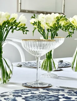 Glassware*Zjoosh Soiree Crystal Coupes (Set of 2) Clear