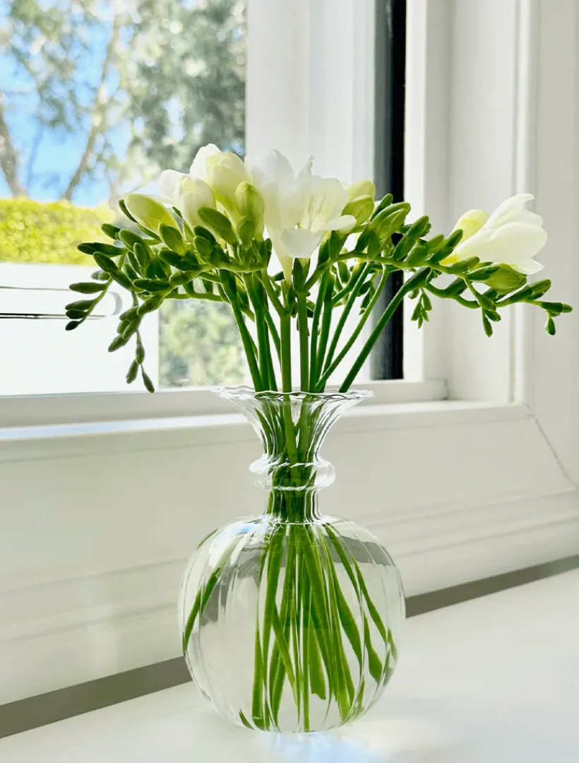 Glassware|Home Ornaments*Zjoosh Soiree Trio of Vases Clear