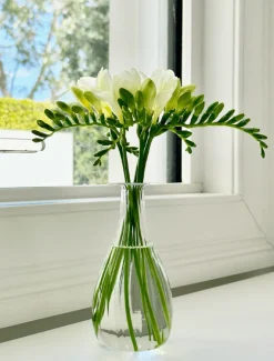 Glassware|Home Ornaments*Zjoosh Soiree Trio of Vases Clear