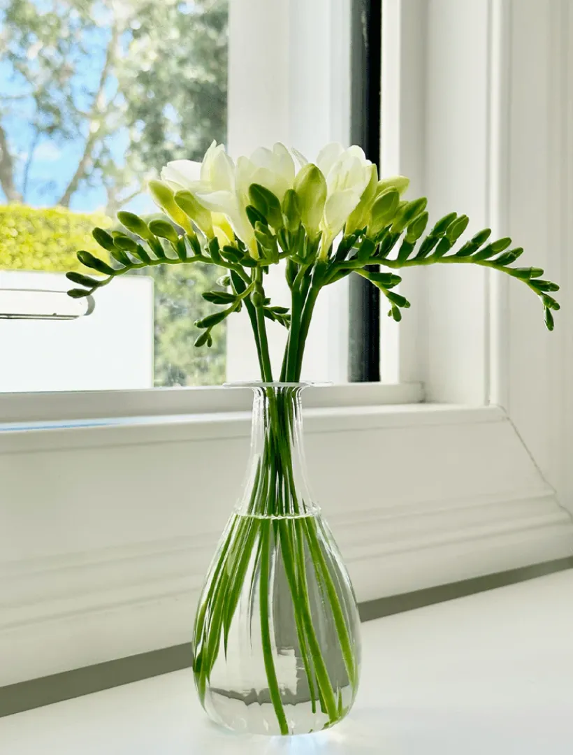 Glassware|Home Ornaments*Zjoosh Soiree Trio of Vases Clear