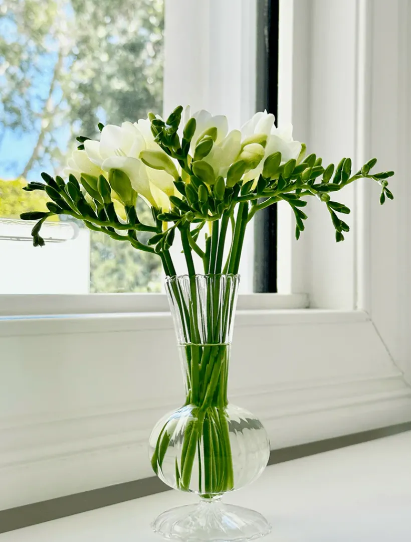Glassware|Home Ornaments*Zjoosh Soiree Trio of Vases Clear