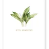Stationery*Zjoosh Sympathy Flower Card
