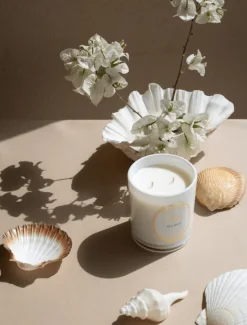 Scented Candles|Zjoosh Candle Collection*Zjoosh Candle Adeline Sea Mist