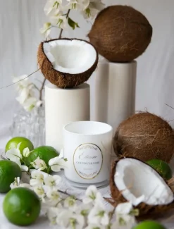 Scented Candles|Zjoosh Candle Collection*Zjoosh Candle Etienne Coconut u0026 Lime