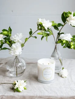Scented Candles|Zjoosh Candle Collection*Zjoosh Candle Odette Night Gardenia