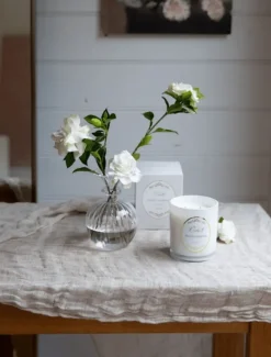 Scented Candles|Zjoosh Candle Collection*Zjoosh Candle Odette Night Gardenia
